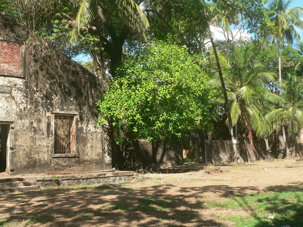 Paysage naturel à explorer en Guyane
