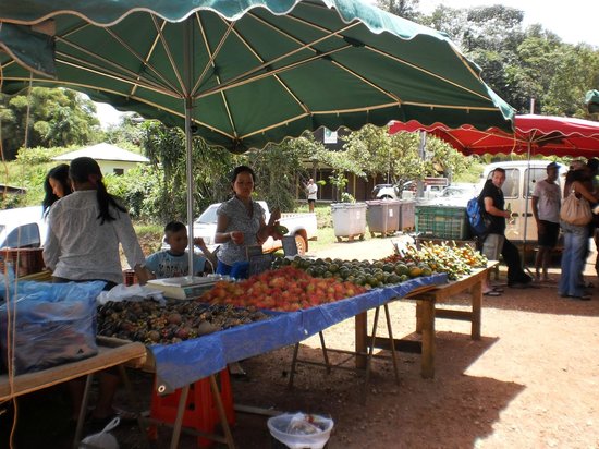 Village de Cacao au cœur de la Guyane